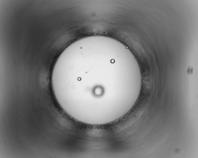 X0000103940593200809191419