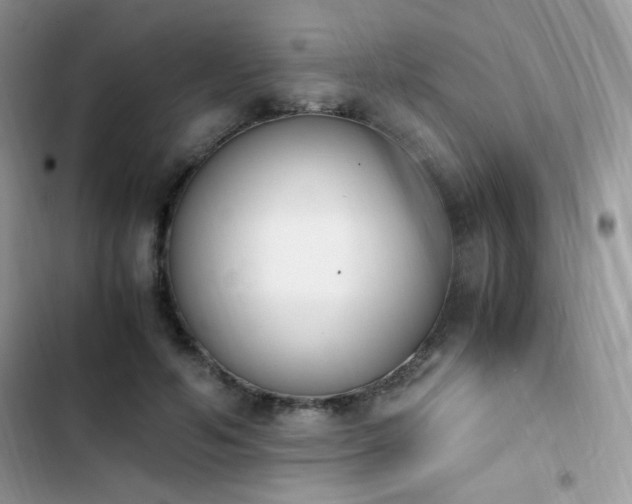 X0000103940594200809191419