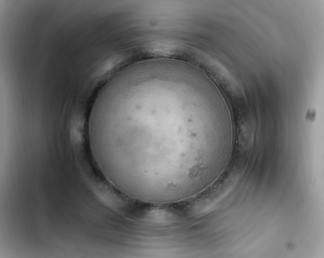 X0000103940596200809191419