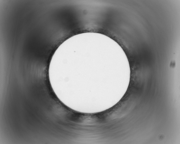 X0000103940597200809191419
