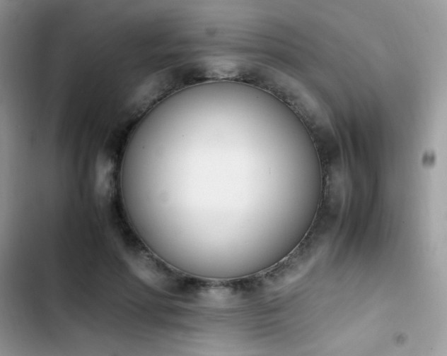 X0000103940598200809191419