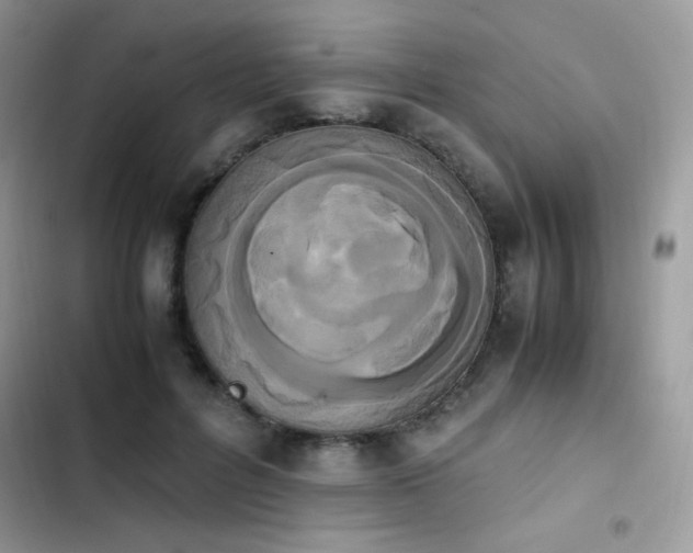 X0000103940600200809191419