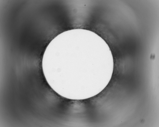 X0000103940601200809191419