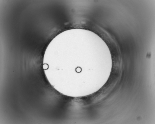X0000103940603200809191419