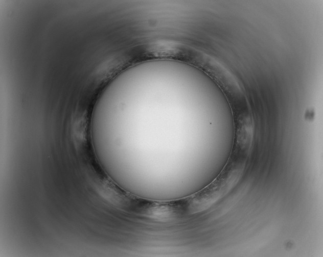 X0000103940604200809191419