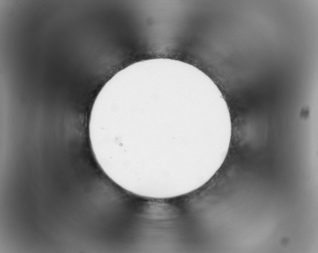 X0000103940605200809191419