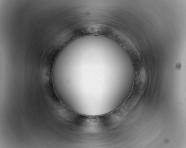 X0000103940606200809191419