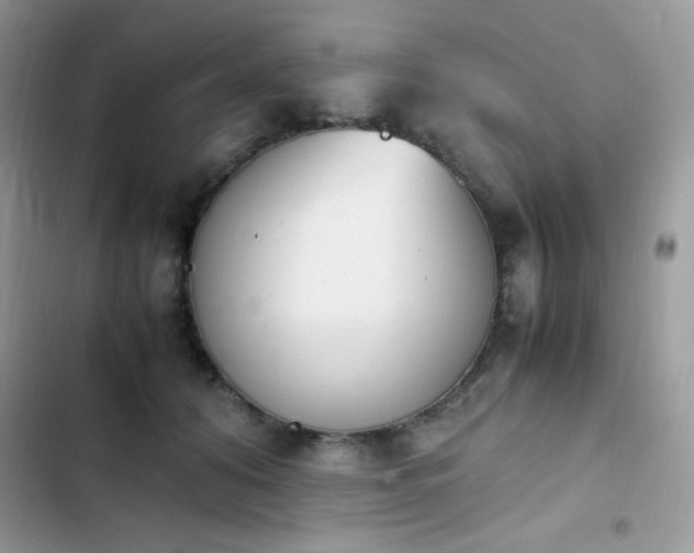 X0000103940608200809191419