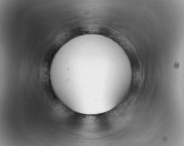 X0000103940609200809191419