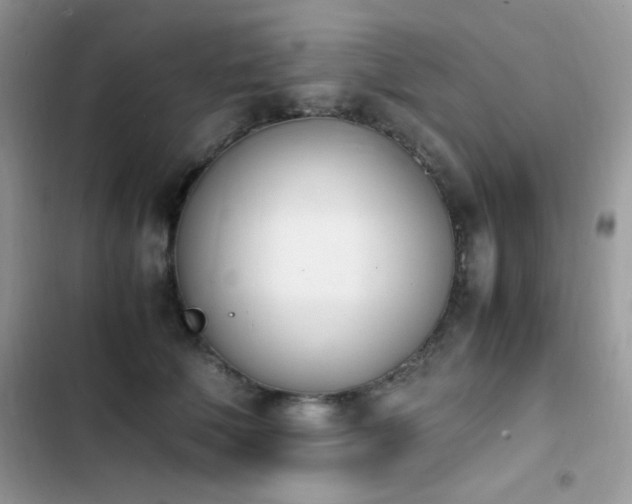 X0000103940610200809191418