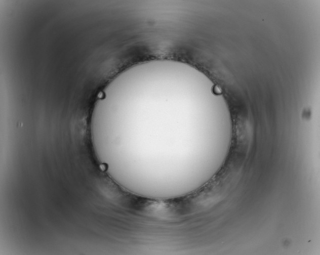 X0000103940611200809191418