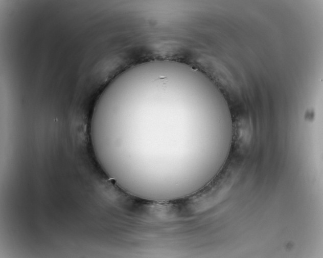 X0000103940615200809191418
