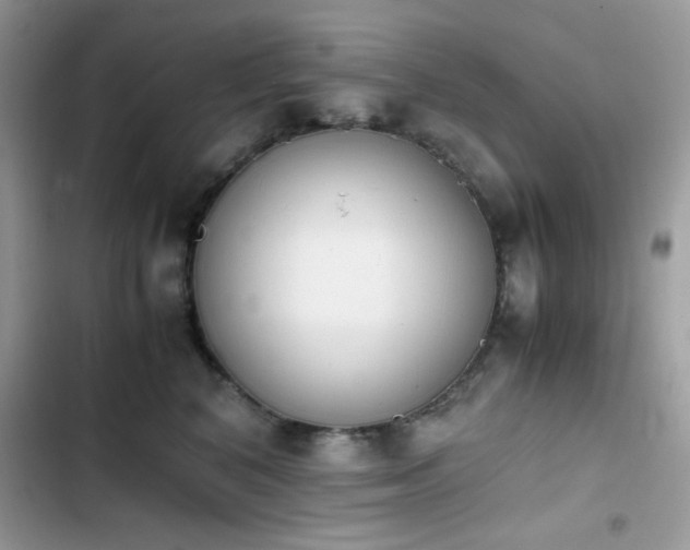 X0000103940616200809191418