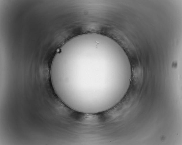 X0000103940617200809191418