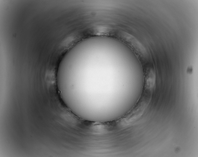 X0000103940620200809191418