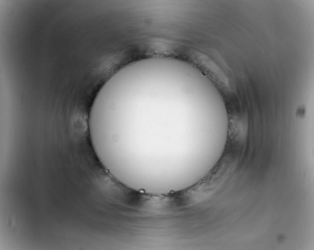 X0000103940621200809191418