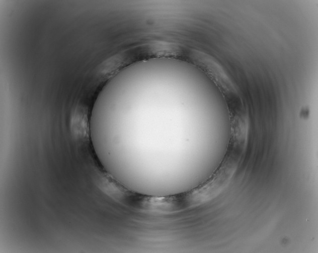 X0000103940622200809191418