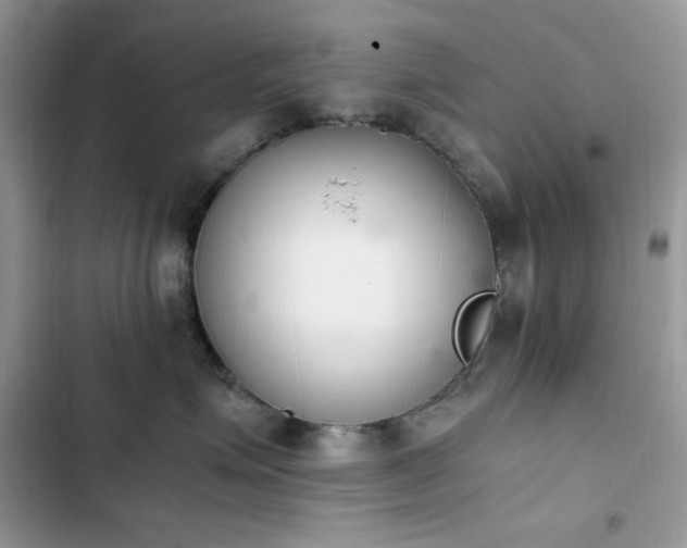 X0000103940623200809191418