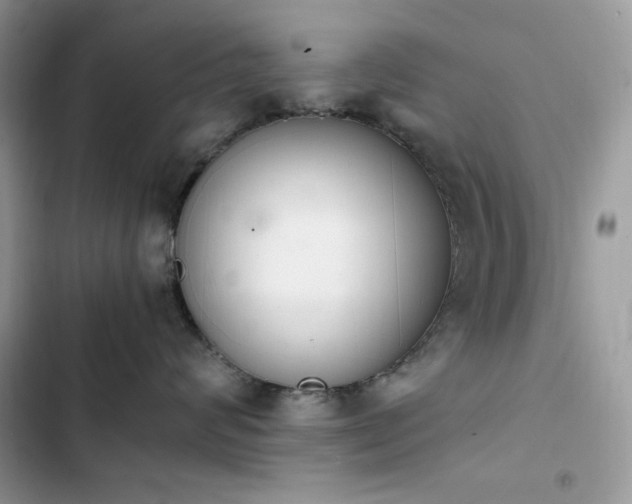 X0000103940624200809191418