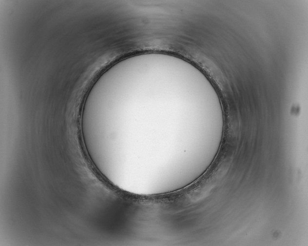 X0000103940625200809191417