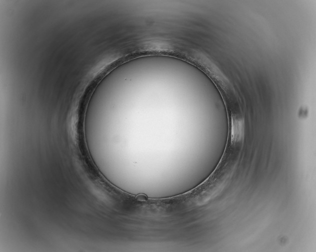 X0000103940627200809191417
