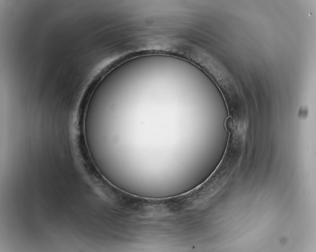 X0000103940628200809191418