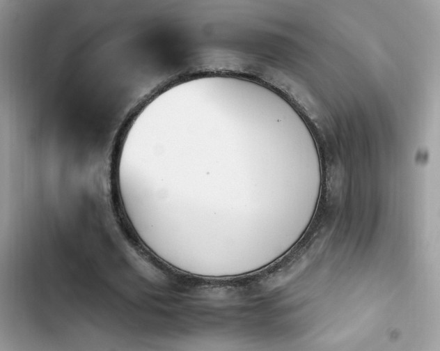 X0000103940629200809191418
