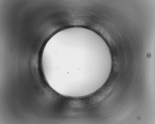 X0000103940631200809191418