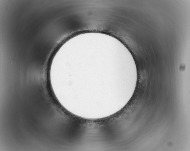 X0000103940632200809191418