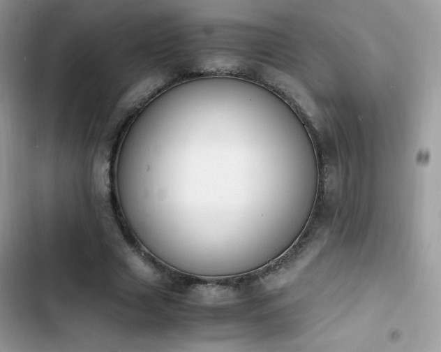 X0000103940633200809191418