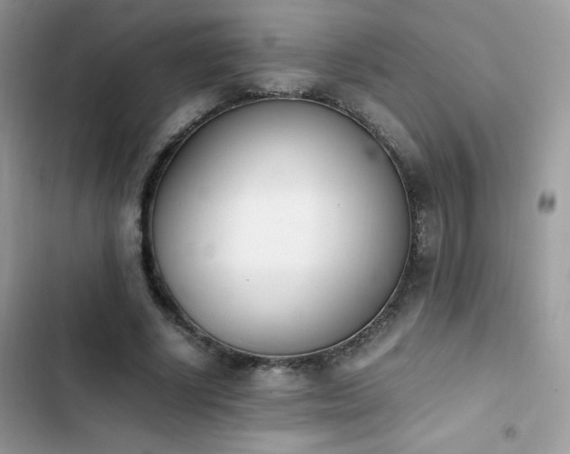 X0000103940634200809191418