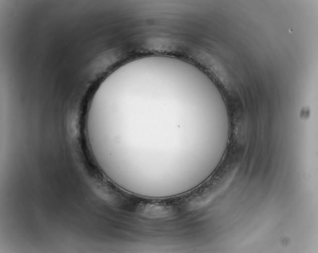 X0000103940635200809191418