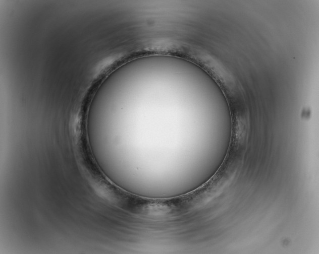 X0000103940636200809191418