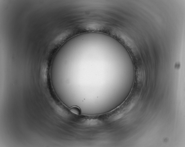 X0000103940637200809191418