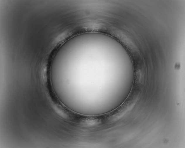 X0000103940638200809191418