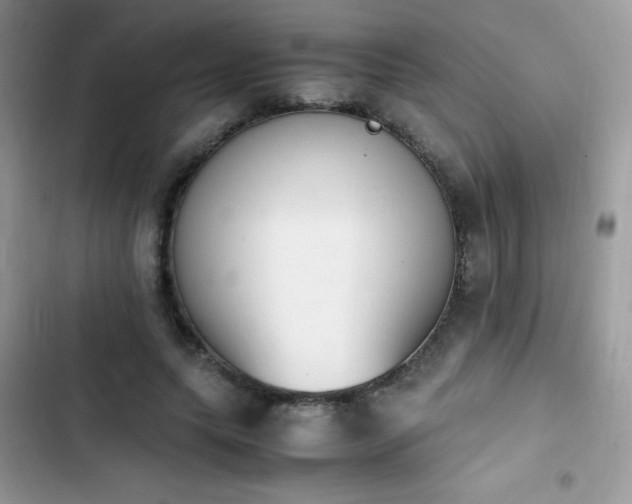 X0000103940639200809191418