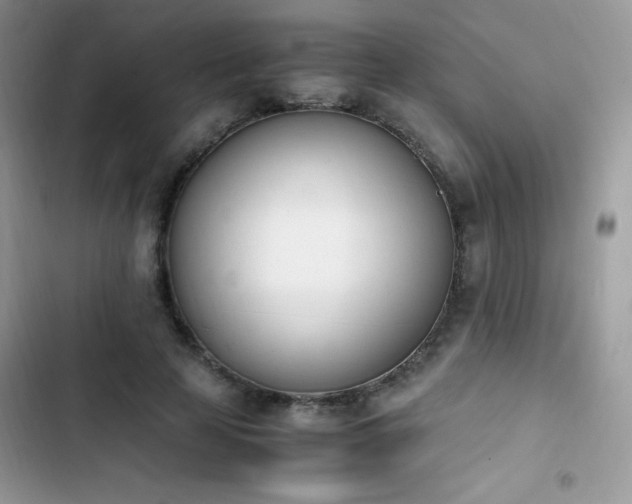 X0000103940641200809191418