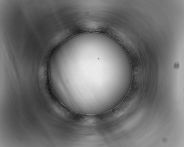 X0000103940642200809191418