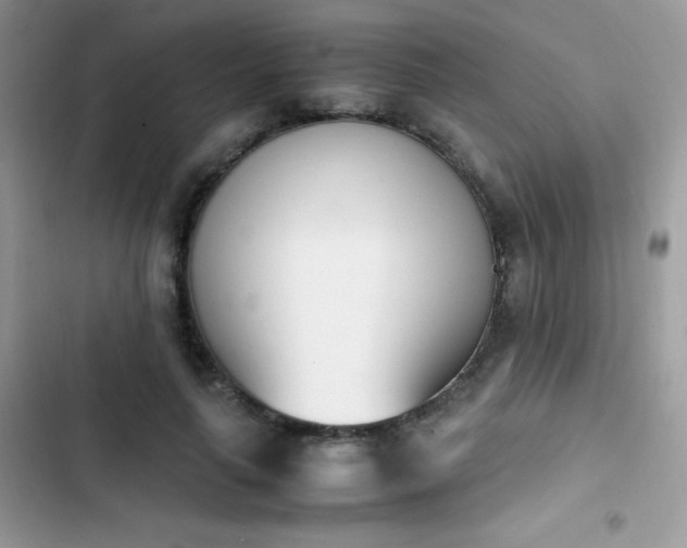 X0000103940643200809191418