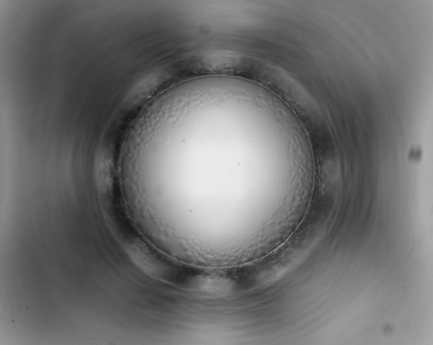X0000103940644200809191418