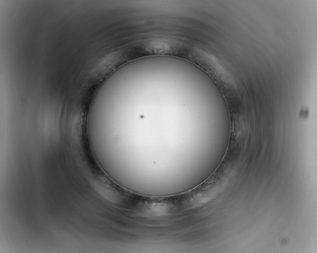 X0000103940645200809191418