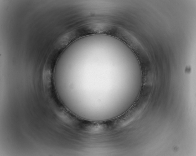 X0000103940646200809191418