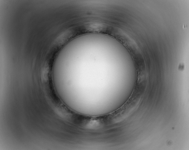 X0000103940647200809191418