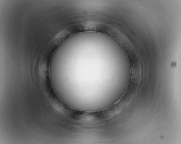 X0000103940648200809191418