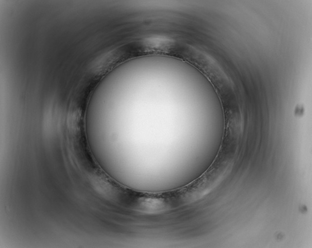 X0000103940649200809191418