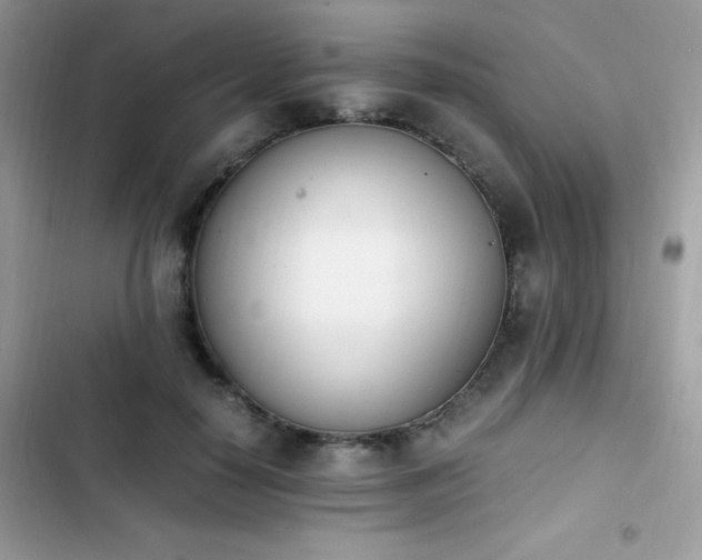 X0000103940650200809191418