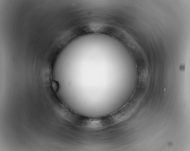 X0000103940651200809191418