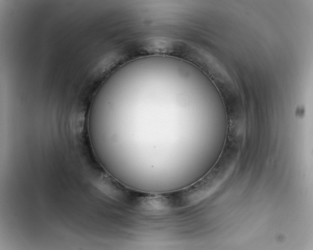 X0000103940652200809191418