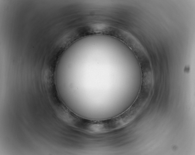 X0000103940653200809191418