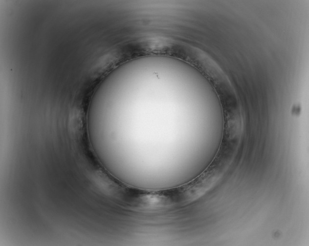X0000103940654200809191418
